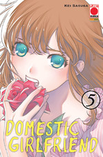 Domestic Girlfriend